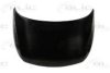 KIA 664003W000 Bonnet